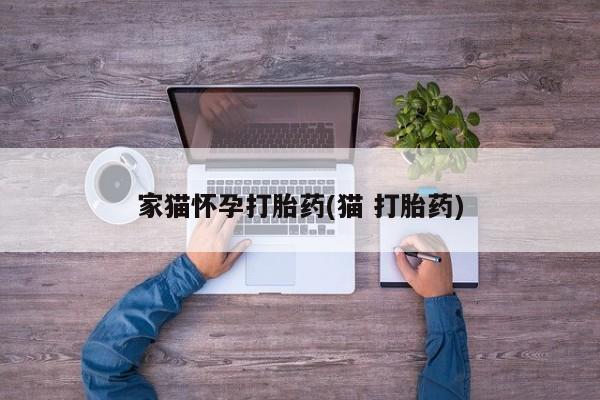 打胎药在线购买家猫怀孕打胎药(猫 打胎药)